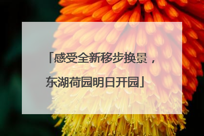 感受全新移步换景，东湖荷园明日开园