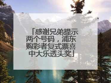 感谢兄弟提示两个号码，浦东购彩者复式票喜中大乐透头奖
