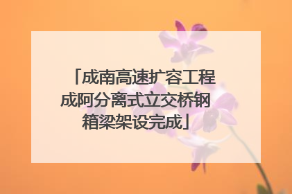 成南高速扩容工程成阿分离式立交桥钢箱梁架设完成