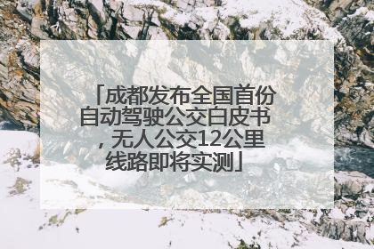 成都发布全国首份自动驾驶公交白皮书，无人公交12公里线路即将实测