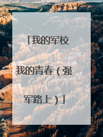 我的军校 我的青春（强军路上）