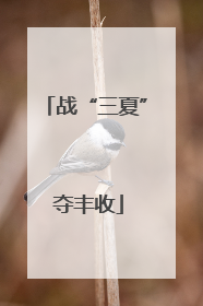 战“三夏” 夺丰收