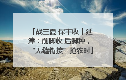 战三夏 保丰收丨延津：前脚收 后脚种，“无缝衔接”抢农时
