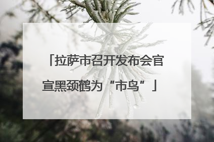 拉萨市召开发布会官宣黑颈鹤为“市鸟”