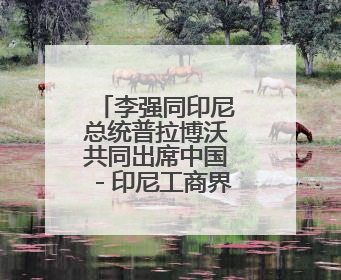 李强同印尼总统普拉博沃共同出席中国－印尼工商界晚宴并致辞