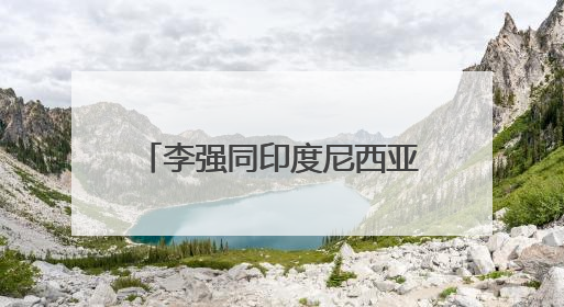 李强同印度尼西亚总统普拉博沃会谈
