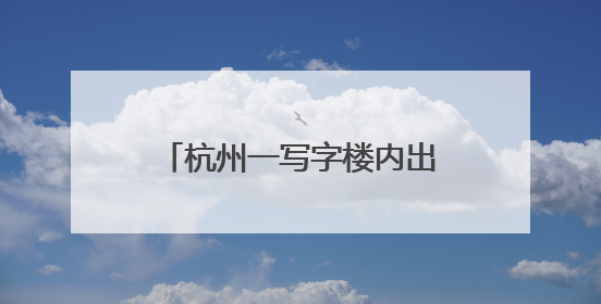 杭州一写字楼内出现“小狐狸”？兽医院院长：普通的宠物小狗，像狐狸犬