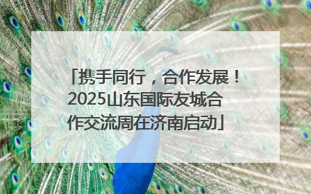 携手同行，合作发展！2025山东国际友城合作交流周在济南启动