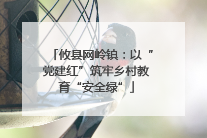 攸县网岭镇：以“党建红”筑牢乡村教育“安全绿”