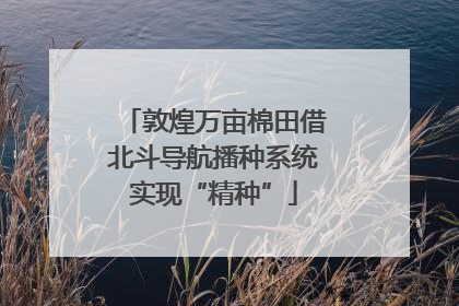 敦煌万亩棉田借北斗导航播种系统实现“精种”