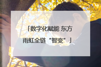 数字化赋能 东方雨虹全链“智变”