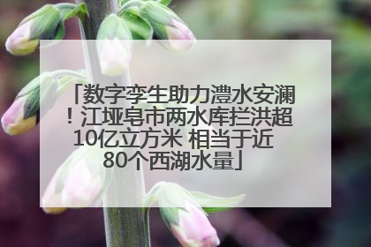 数字孪生助力澧水安澜！江垭皂市两水库拦洪超10亿立方米 相当于近80个西湖水量