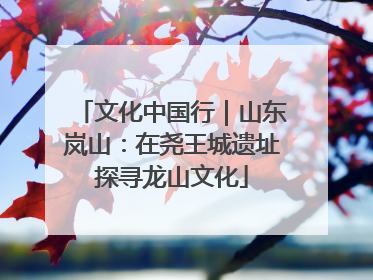 文化中国行｜山东岚山：在尧王城遗址探寻龙山文化