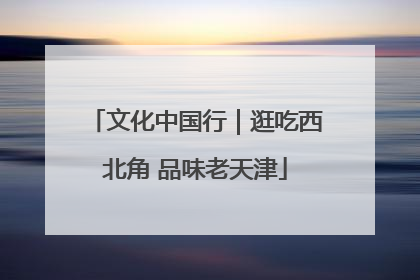 文化中国行｜逛吃西北角 品味老天津