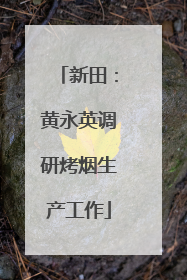 新田：黄永英调研烤烟生产工作