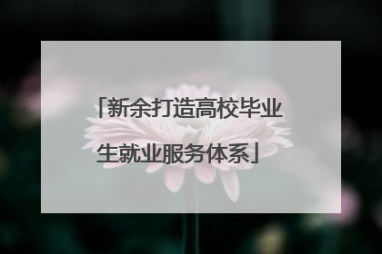 新余打造高校毕业生就业服务体系