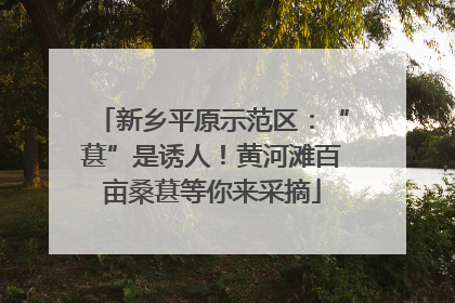 新乡平原示范区：“葚”是诱人！黄河滩百亩桑葚等你来采摘