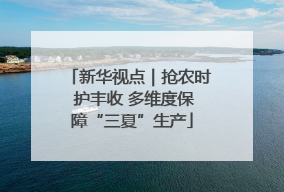 新华视点｜抢农时 护丰收 多维度保障“三夏”生产