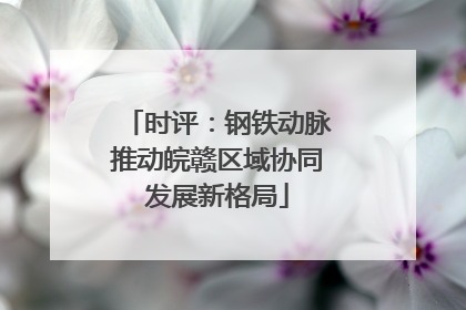时评：钢铁动脉推动皖赣区域协同发展新格局