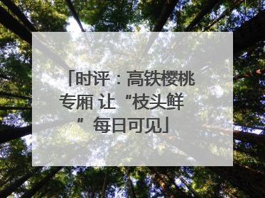 时评：高铁樱桃专厢 让“枝头鲜”每日可见