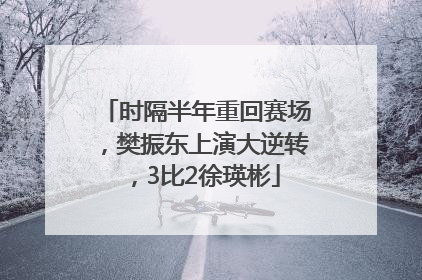 时隔半年重回赛场，樊振东上演大逆转，3比2徐瑛彬