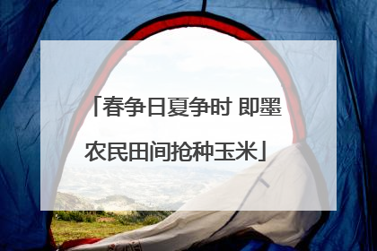 春争日夏争时 即墨农民田间抢种玉米