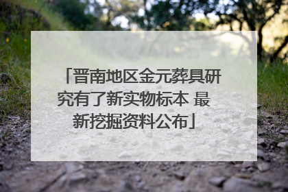 晋南地区金元葬具研究有了新实物标本 最新挖掘资料公布