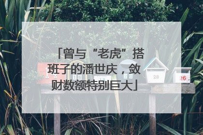 曾与“老虎”搭班子的潘世庆，敛财数额特别巨大