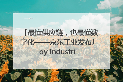 最懂供应链，也最懂数字化——京东工业发布Joy Industrial 重塑工业未来