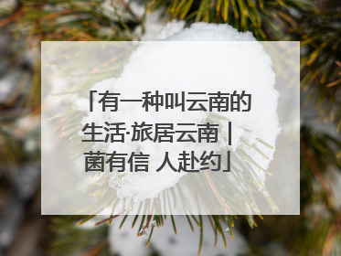 有一种叫云南的生活·旅居云南｜菌有信 人赴约