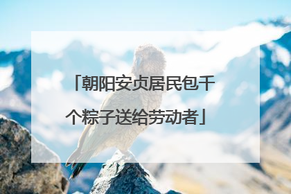 朝阳安贞居民包千个粽子送给劳动者