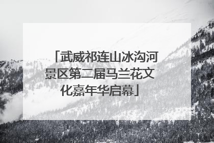 武威祁连山冰沟河景区第二届马兰花文化嘉年华启幕