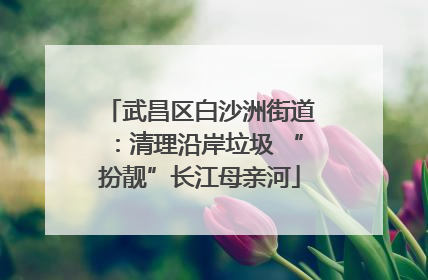 武昌区白沙洲街道：清理沿岸垃圾 “扮靓”长江母亲河