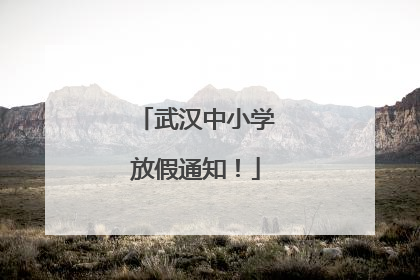 武汉中小学放假通知！