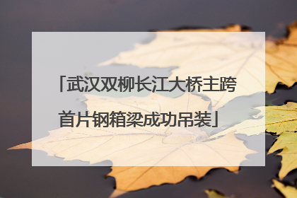 武汉双柳长江大桥主跨首片钢箱梁成功吊装