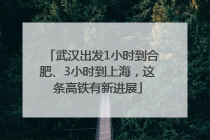 武汉出发1小时到合肥、3小时到上海，这条高铁有新进展