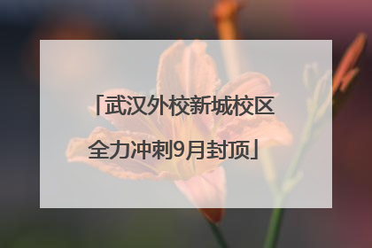 武汉外校新城校区全力冲刺9月封顶