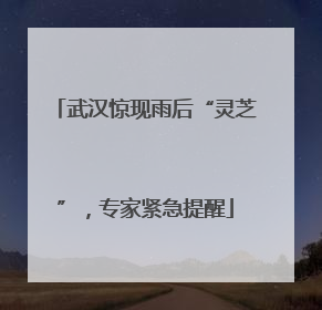 武汉惊现雨后“灵芝”，专家紧急提醒