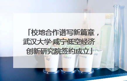 校地合作谱写新篇章，武汉大学·咸宁低空经济创新研究院签约成立