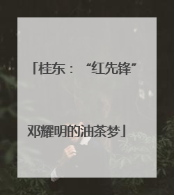 桂东：“红先锋”邓耀明的油茶梦