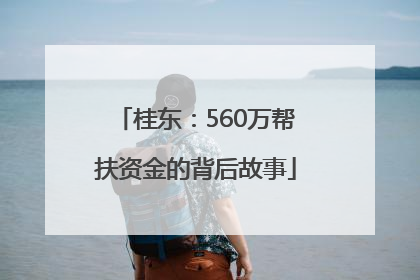 桂东：560万帮扶资金的背后故事