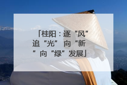 桂阳：逐“风”追“光” 向“新”向“绿”发展