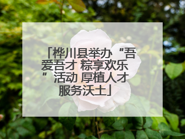 桦川县举办“吾爱吾才 粽享欢乐”活动 厚植人才服务沃土