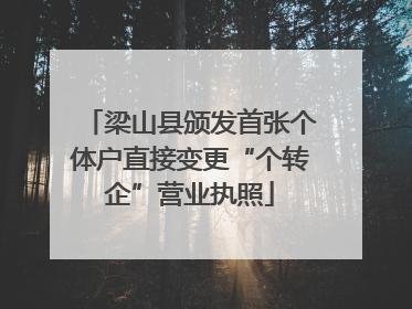梁山县颁发首张个体户直接变更“个转企”营业执照