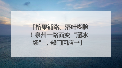 榕果铺路、落叶糊脸！泉州一路面变“溜冰场”，部门回应→