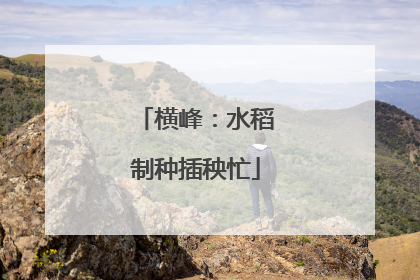 横峰：水稻制种插秧忙