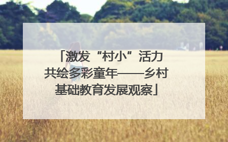 激发“村小”活力 共绘多彩童年——乡村基础教育发展观察