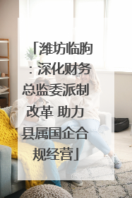 潍坊临朐：深化财务总监委派制改革 助力县属国企合规经营