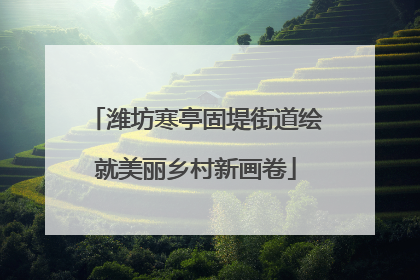 潍坊寒亭固堤街道绘就美丽乡村新画卷