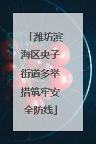 潍坊滨海区央子街道多举措筑牢安全防线
